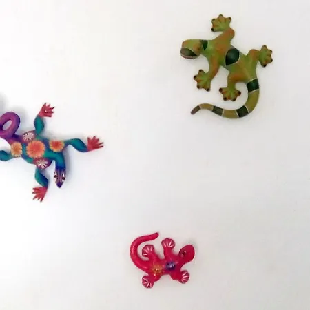 Casa Geckos *