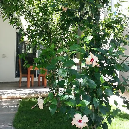 La Veleta - Robinson Apartment Tulum