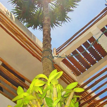 Latino Boutique 3* Tulum