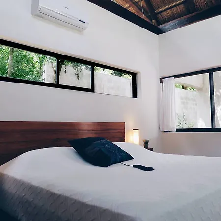 Aqua Viva 4*