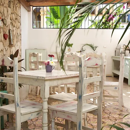 Aparthotel Livetulum 4*