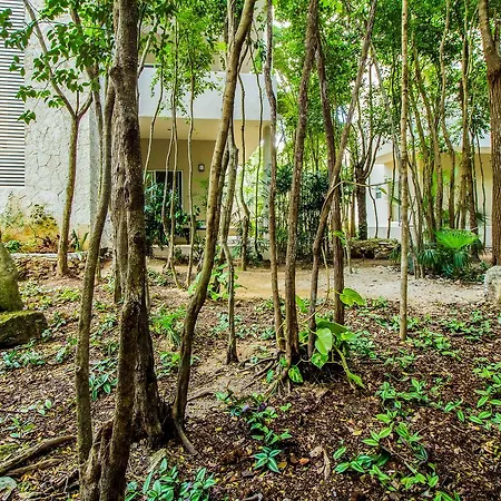El Vivero Tulum