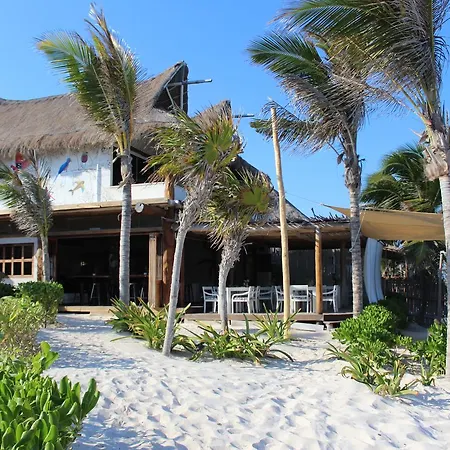 Hotel Alma Boutique 4*