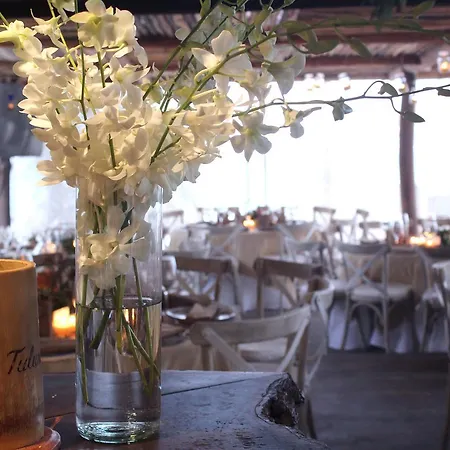 Alma Boutique Hotel Tulum