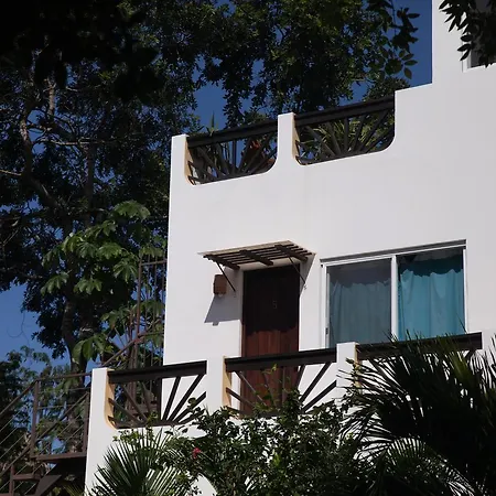 Mango Tulum