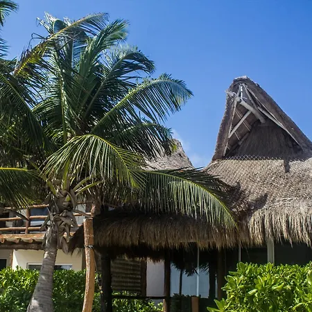 Hotel Alma Boutique Tulum
