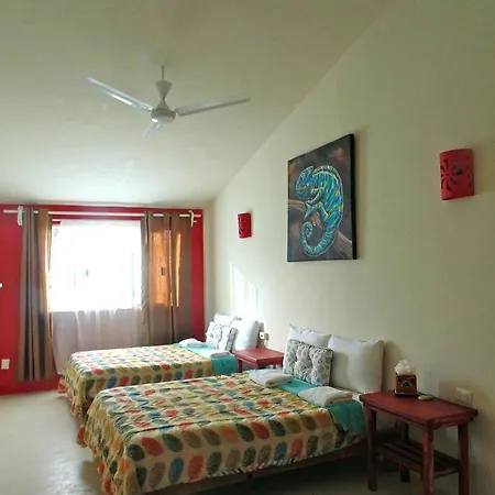 Art Hotel Tulum