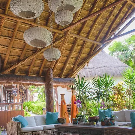 Hotel Alma Boutique 4*