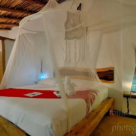Pacha Boutique Hotel