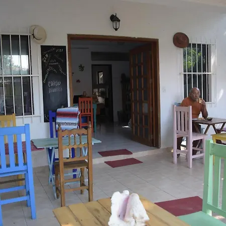 Casa Geckos
