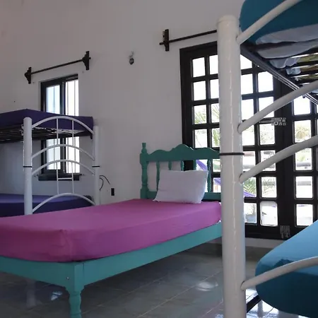 Hostel Casa Geckos