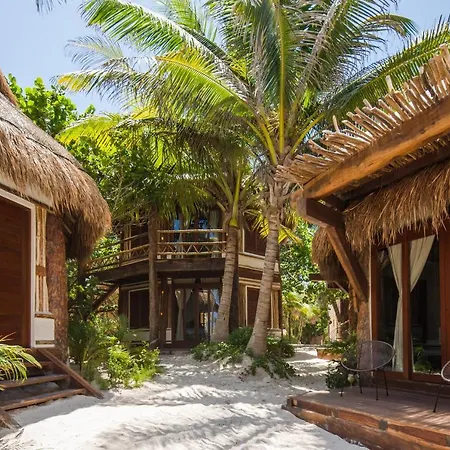 Delek Tulum