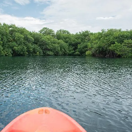 Hotel Maya Y Cenote