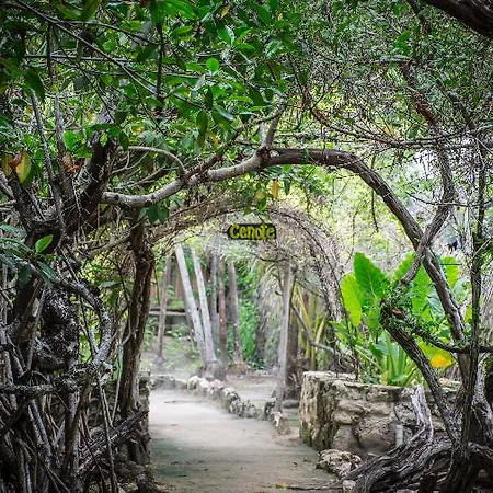 Maya Y Cenote Hotel Tulum