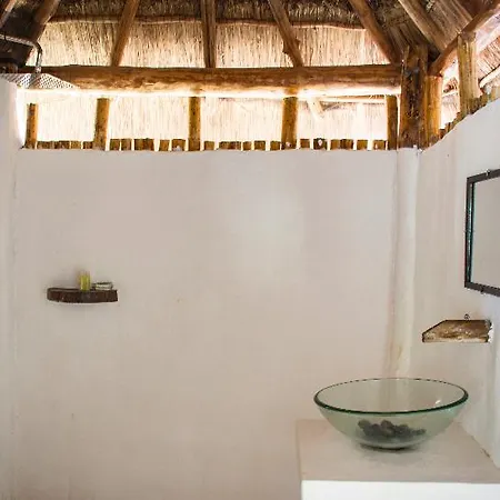 Maya Y Cenote
