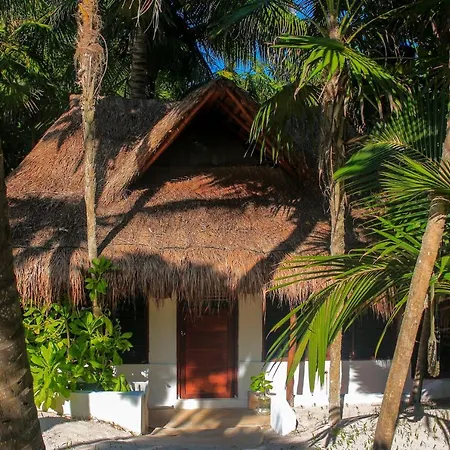 Hotel Casa Violeta 3*