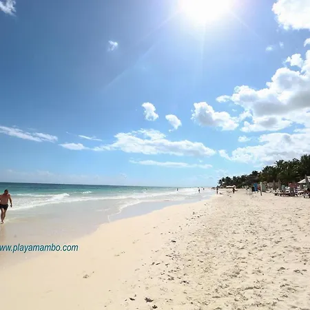 Hotel Playa Mambo Eco Cabanas