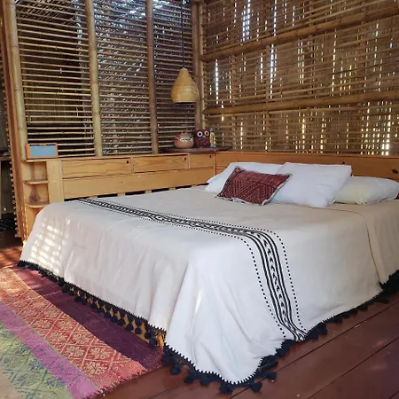 Aqua Viva Tulum
