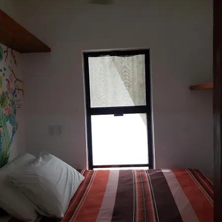 Aqua Viva Tulum