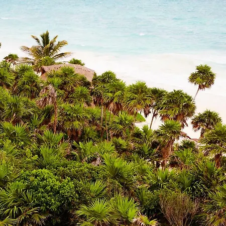 Hotel Papaya Playa Project, Tulum, A Member Of Design Tulum