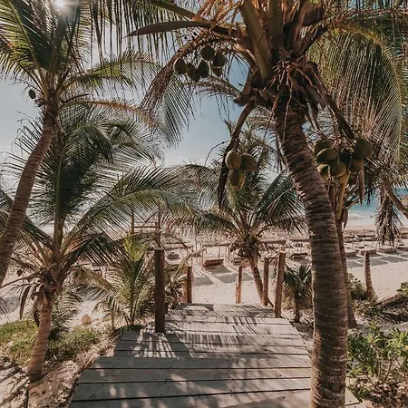 Hotel Papaya Playa Project, Tulum, A Member Of Design 5*
