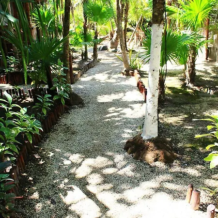 Hotel Maya Y Cenote Tulum