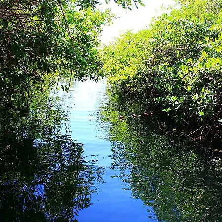 Maya Y Cenote 2* Tulum