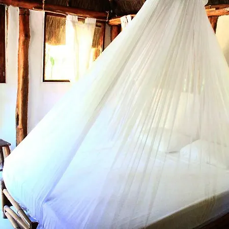 Maya Y Cenote Tulum