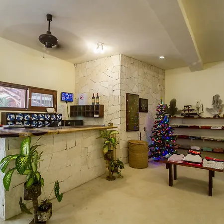Hotel Playa Canek Beachfront Eco Hotel