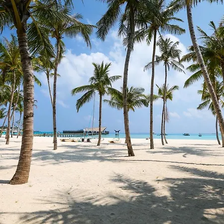 Blanco Adults Only Hotel Tulum
