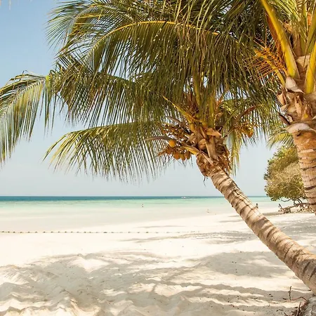 Hotel Blanco Adults Only Tulum