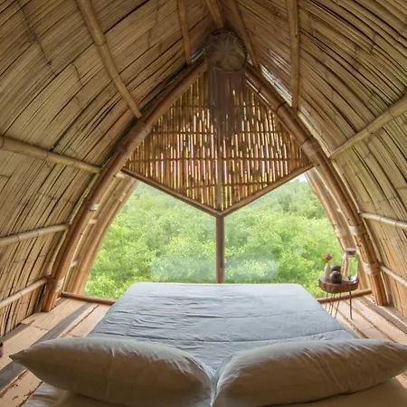 Mamasan Treehouses & Tulum