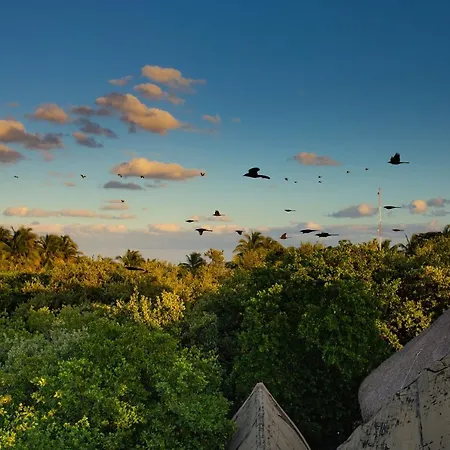 Mamasan Treehouses &
