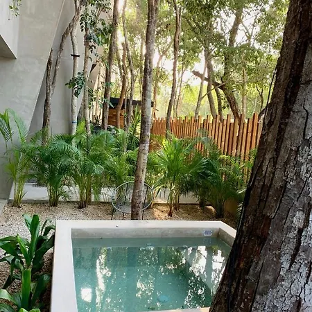 Arba - Aldea Zama Tulum