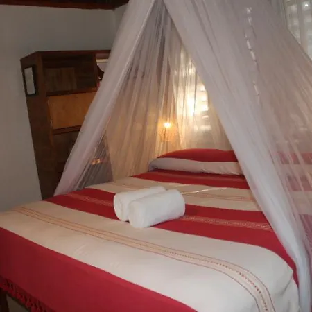 Bt Live Located At The Party Zone 4* Tulum