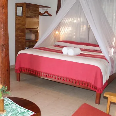 Bt Live Located At The Party Zone Hotel Tulum