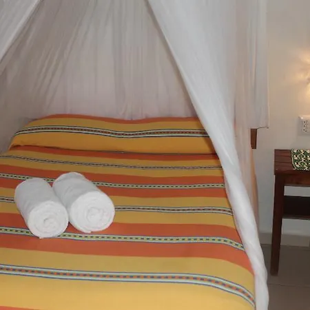 Bt Live Located At The Party Zone Hotel 4*