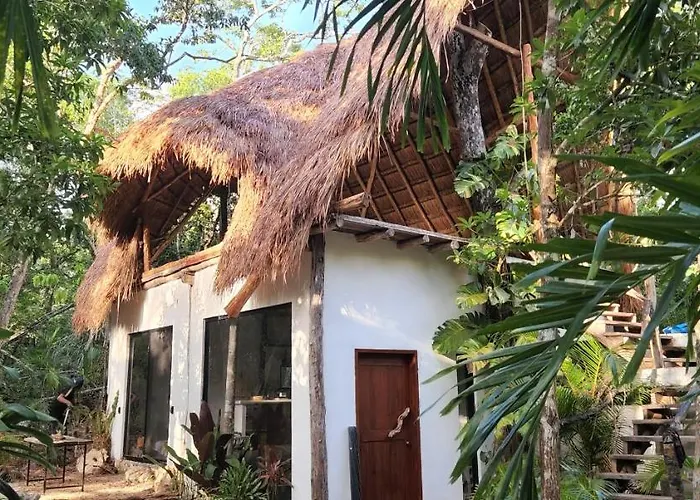 Selva Roca Tulum