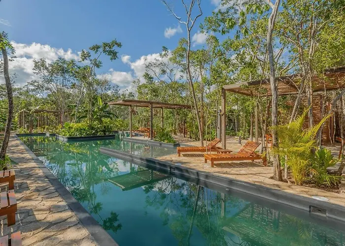 Savia Oasis Tranquil Escape