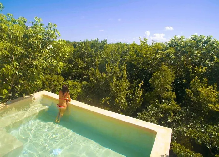 Casa Hibiscus Sky-High Pool With Birds Above The Jungle