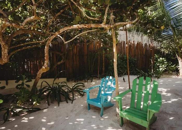 Palms House