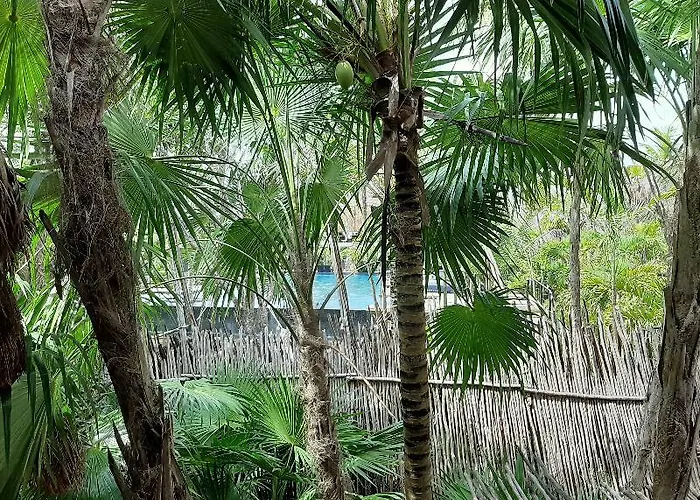 The Radhoo Tulum - Adults Only