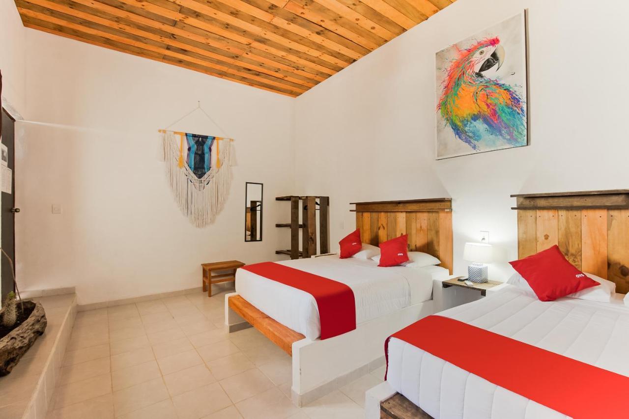 Oyo Jarro Cafe Hotel