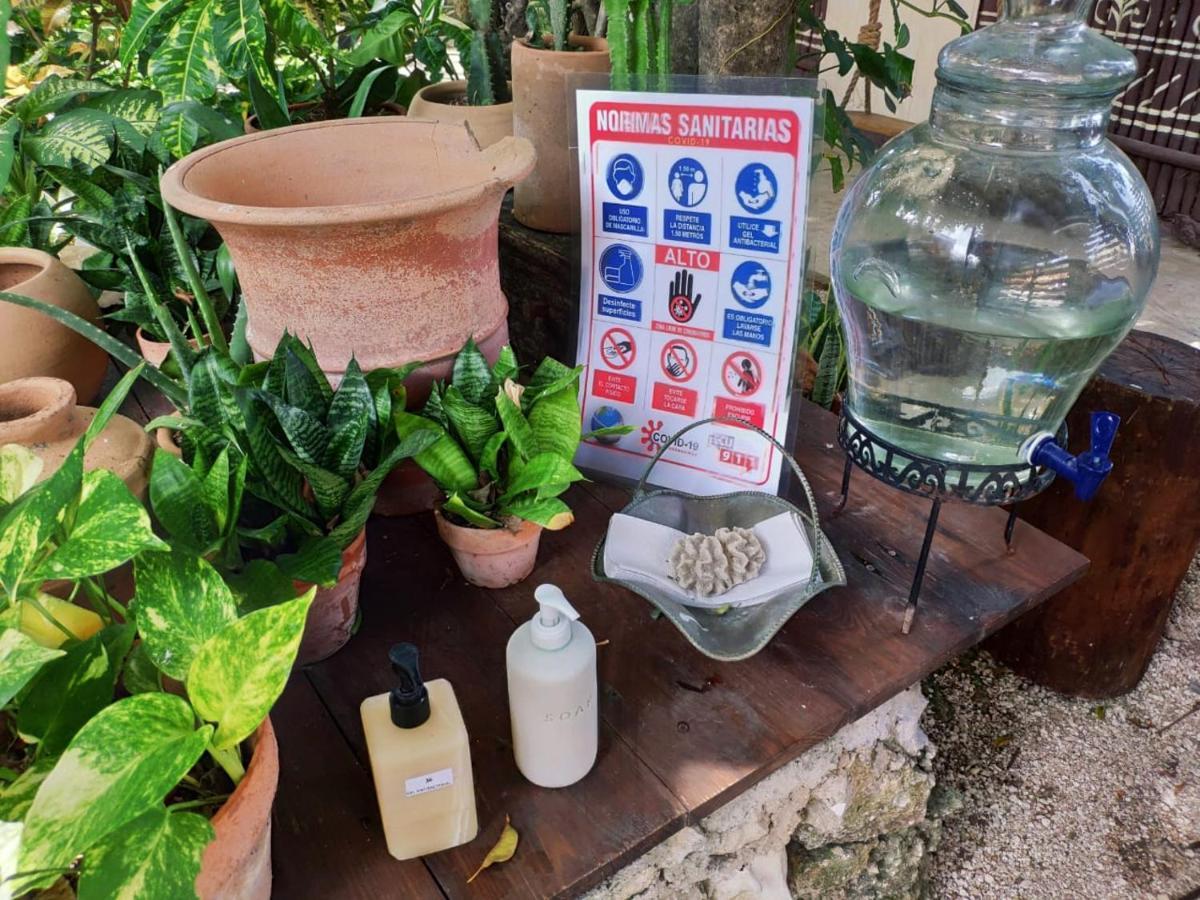 Hotel Secret Garden Tulum