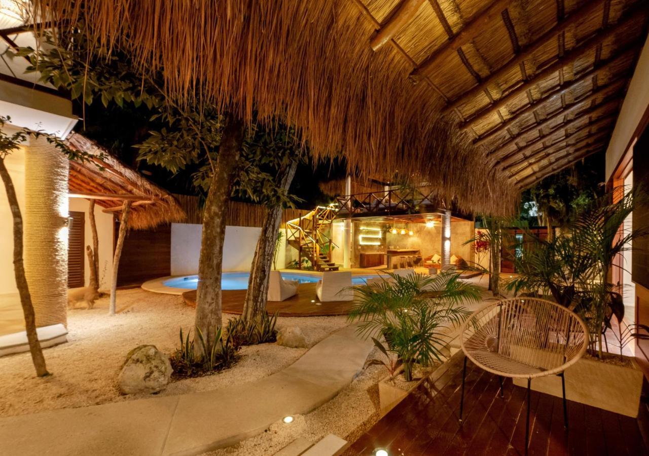 Hostel Mimosa