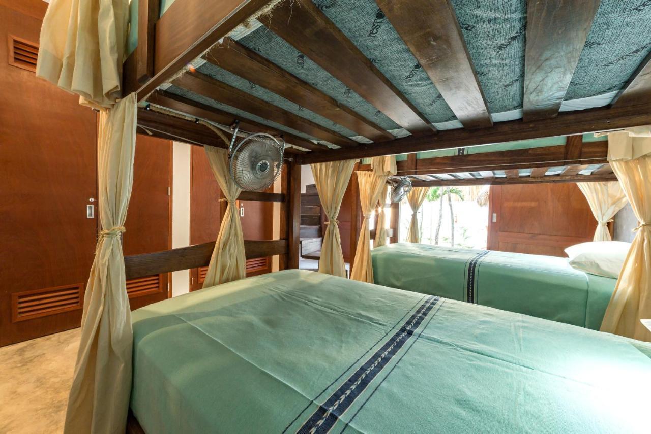 Hostel Mimosa