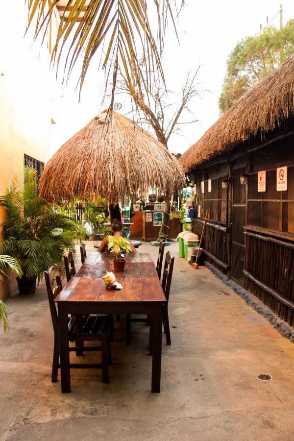 Hostel Cha Cha Cha Tulum