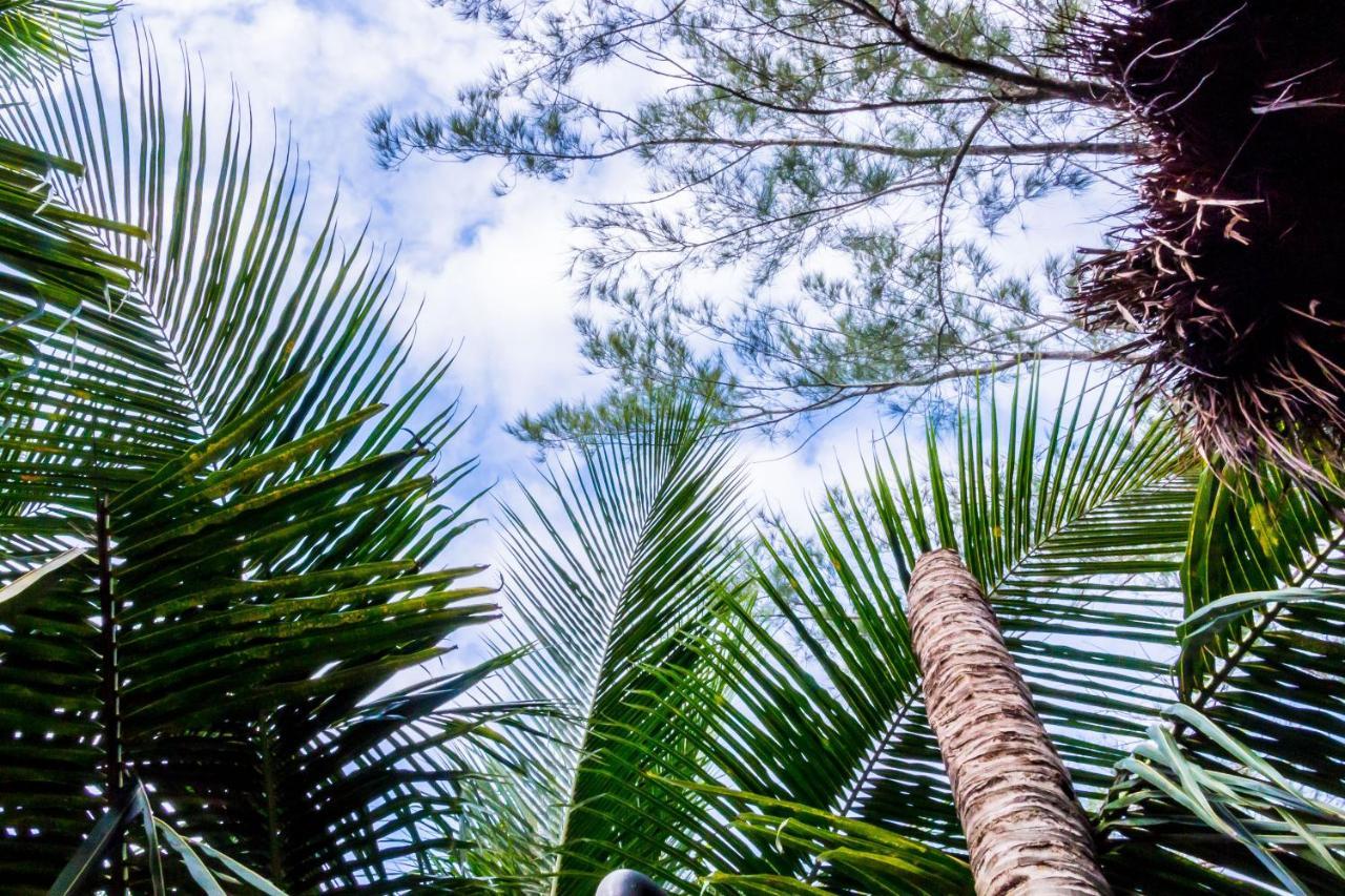 Hotel Oostel Smart - Playa Tulum