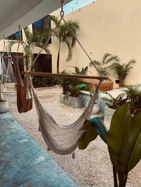 Casa Babel Guest house *