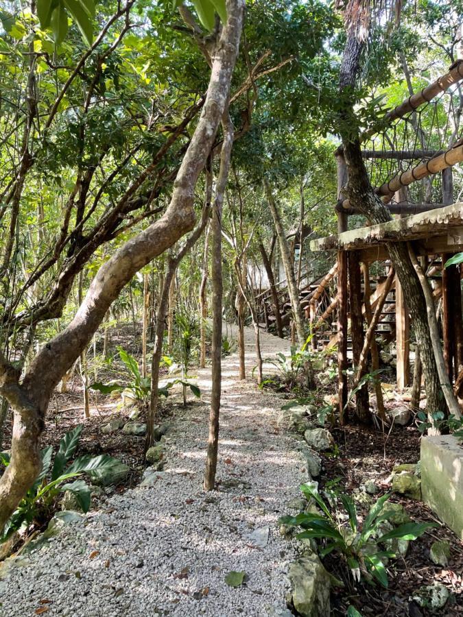Roc Jungle 4* Tulum